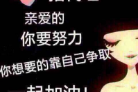 智絡會員管理系統(tǒng)如何代理？