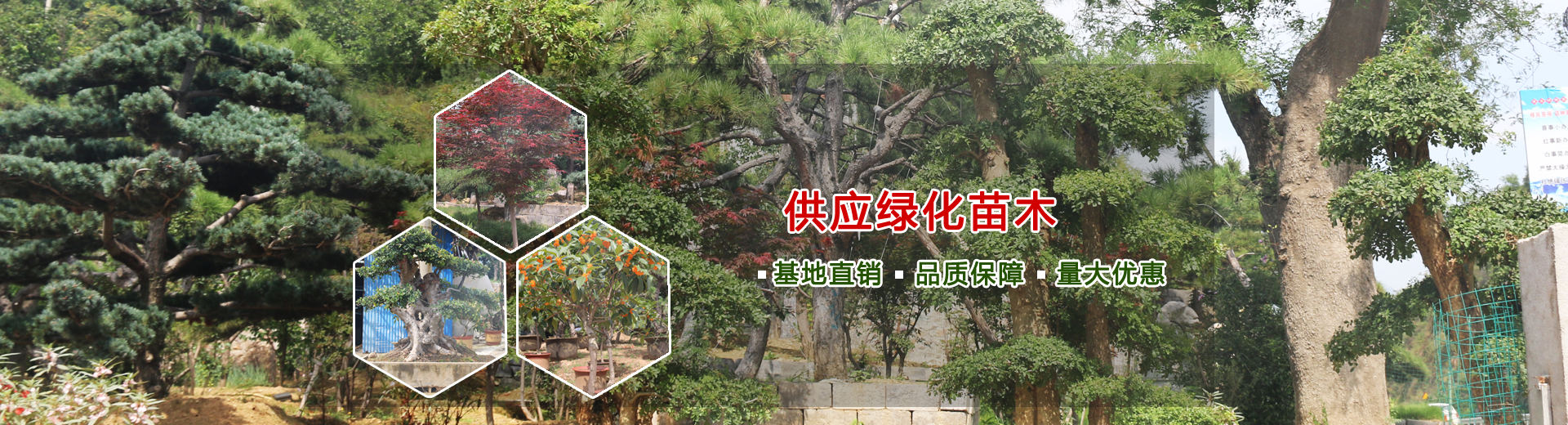 ID卡感應(yīng)器